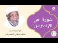 سورة ص الآيات 62 66 تفسير الشيخ الشعراوي قليل دائم خير 