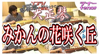 【大正琴】みかんの花咲く丘