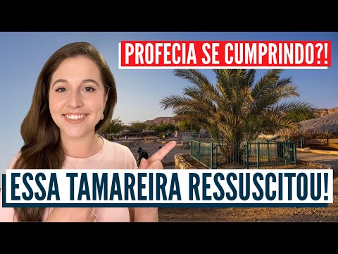 Vídeo: Os segredos da vida do impressor pioneiro Ivan Fedorov: o caminho para a iluminação e a luta pela sobrevivência