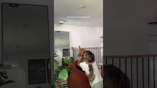 ignore the bed head #chicago #chicagotiktok #vizsla... #Shorts #kelspersen