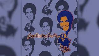 Download Lagu Cheo Feliciano - Amada Mía (Visualizador Oficial) MP3