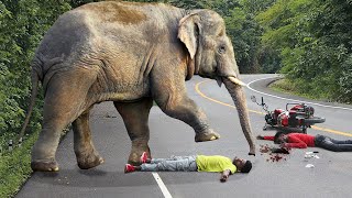 Shocking elephant attack on man in the road | Fun Made Elephant  movie