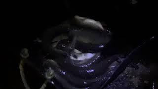 IMG 5608