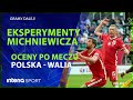 Polska – Walia. Tomasz Brożek: Wynik jest lepszy niż gra | GRAMY DALEJ!