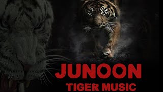 Tiger Attack Junoon Forest Tiger 