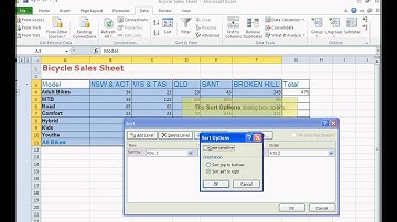 TWB Video Tutorial - Sort, Filter and Group in Microsoft Excel