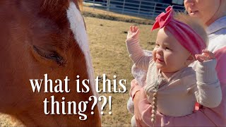 seeing a horse for the FIRST time | crazy hair day at school | our water heater went out AGAIN