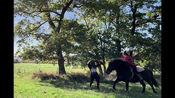 Tabar/axe & separ/shield on horseback vs. an armored opponent armed with shamshir & Separ (part 2)