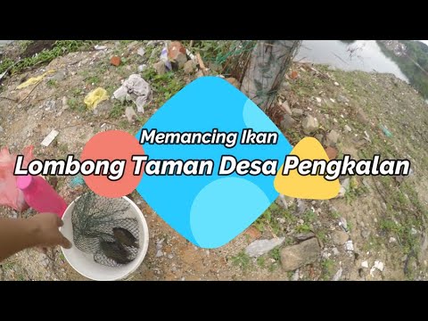 Memancing Ikan Di Lombong Taman Desa Pengkalan