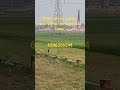 Plot sale in patna near bihta sarmera six lane// Plot in charra near sadisopur station//