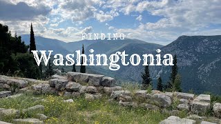 Finding Washingtonia - Trailer