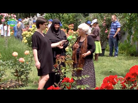 GDS დილა 08.06.2015 - სამების პარკის როზარიუმი უკვე 6 წელია არსებობს