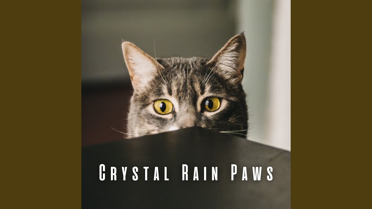 Serene Crystal Paws