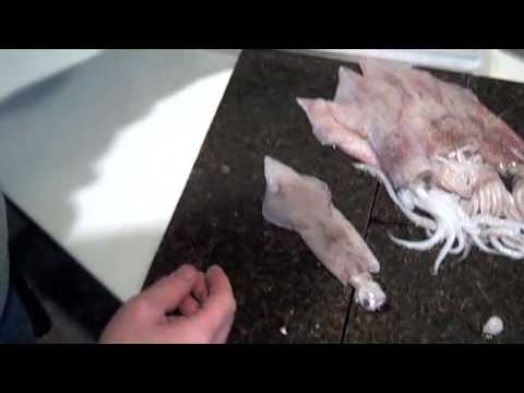 Video: Hvordan Skrelle Blekksprut