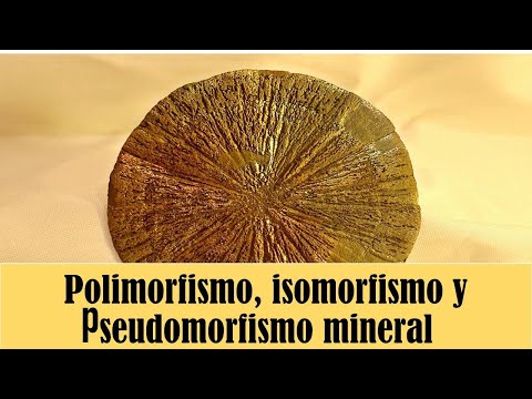Video: ¿Qué es un material pseudomórfico?