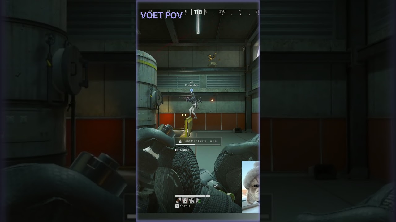 Наиболее распространенное поведение крыс | Liquid Mendo