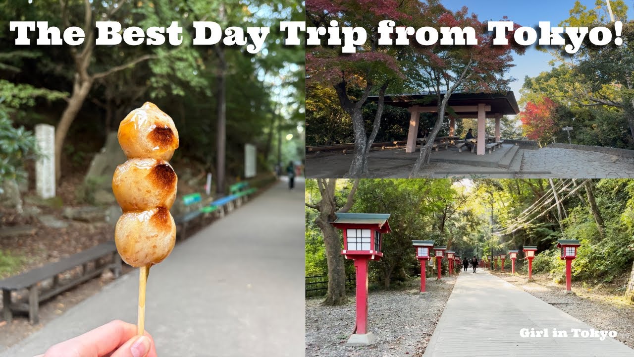 Поход на гору Такао осенью 🍁 | Однодневная поездка из Токио, тревел-влог по Японии