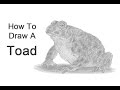 How to Draw a Toad
