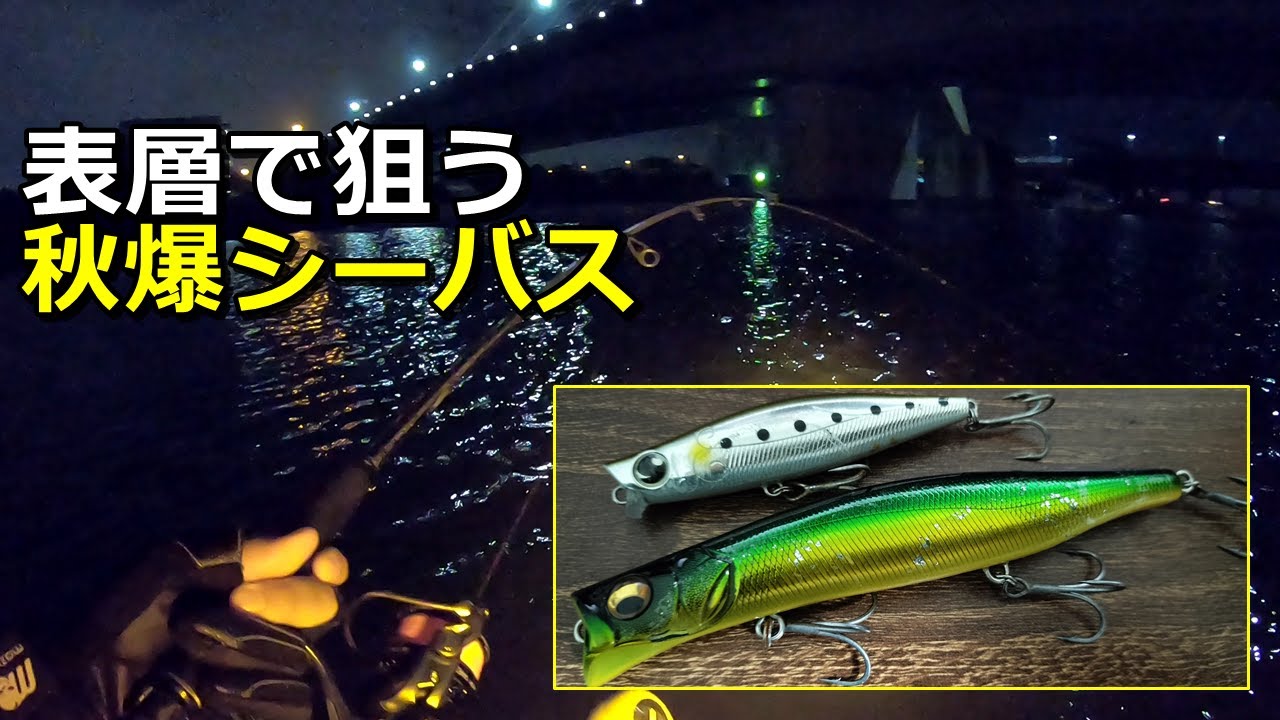晩秋の荒食いシーバスを水面直下と表層で狙うと - YouTube