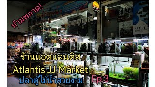 ร้านแอตแลนติส (Atlantis​ JJ​ Market)​ปลาตู้ไม้​น้ำ​สวยงา​ม Ep.3 screenshot 2