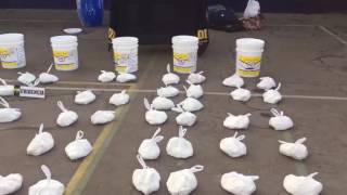 BRIANT de La Calera incauta más de mil millones de pesos en cocaína