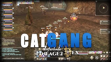 5 CATS vs Lair of Antharas - Multibox - Automacro [Lineage2DEX] OCT 2022