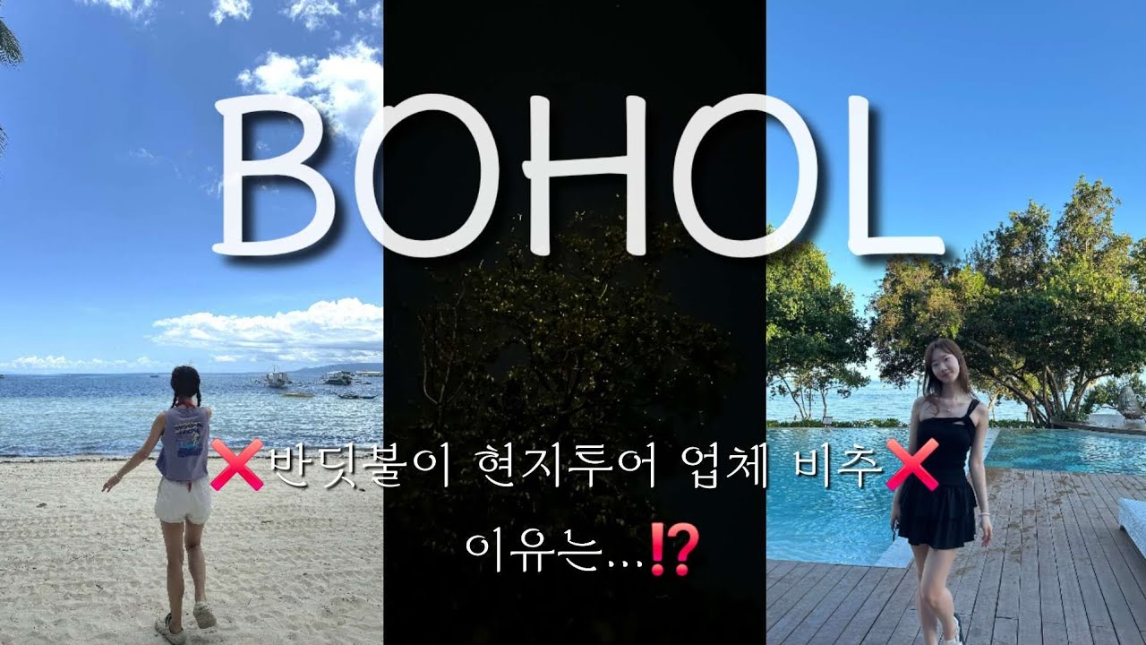 보홀ep5: 아모리타 조식, 돌조비치, 현지업체 반딧불이 투어 후기