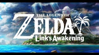 A Reoccurring Dream | Zelda: Link's Awakening Remake 100% Walkthrough 