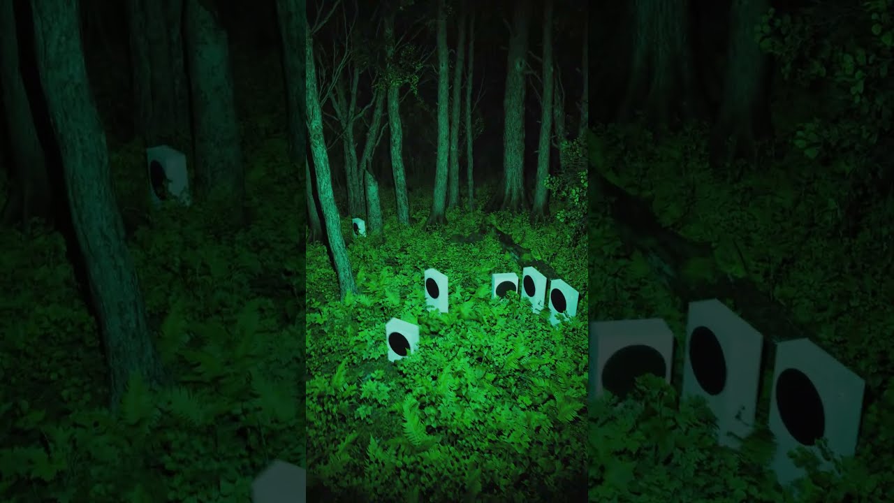 So Is This Where Series S Consoles Come From Xbox Unexplained InTheWoods