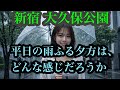【撮れたて】9/29(火)16時 雨降る大久保公園は！詐欺女ゆりの捜索も！この動画を参考にして公園に行く時間キメロ！ #大久保公園 #okubopark #ライブ 「東京夜散歩」