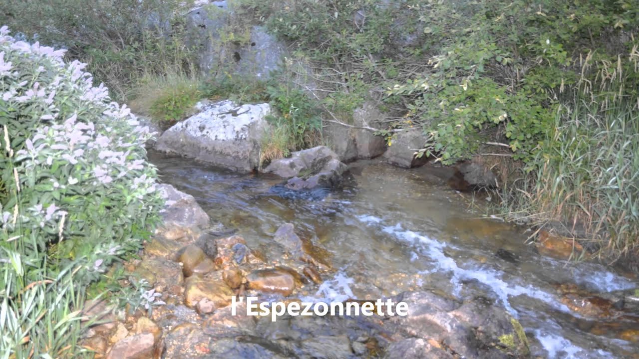 peche de la truite en Ardèche le 8 septembre 2013 YouTube