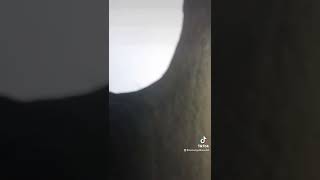 Pokemon of the Day: Umbreon