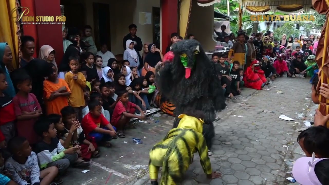 TARUNG SATOWAN || BUROK GENTA BUANA LIVE SHOW DS CIHAUR  BANJARHARJO BREBES 16 JULI 2024