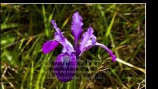 Download lagu Matt Monro - For Mama (Lyrics)