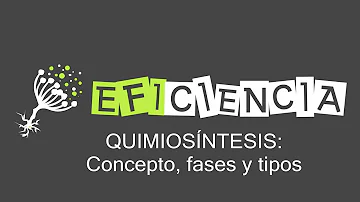 ¿Qué es la quimiosíntesis y quién la realiza?