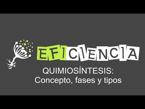 Video: ¿Por qué es importante la quimiosíntesis?