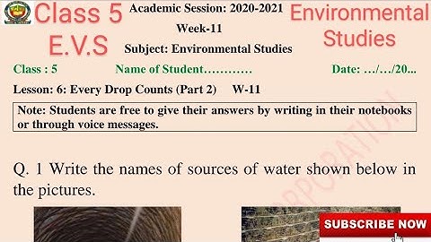 Class 5 EVS (Week 11) Worksheet Solutions with Explanation |  Topic : Every Drop Counts (Part 2)