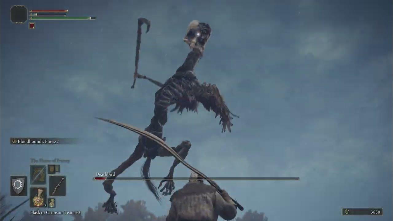 Deathbird (Weeping Peninsula) - Elden Ring - YouTube