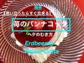 【簡単】思い立ったらすぐ出来る苺のパンナコッタ / Erdbeeren Panna Cotta