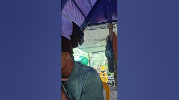 Cảnh nổi bật từ buổi phát trực tiếp