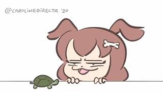 South but Turtle House