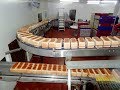 Bread processing Factory- Automated production line with high technology machines