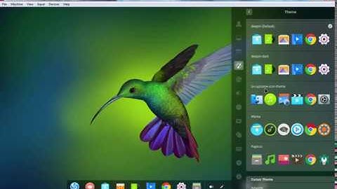 How to Install and Activate Theme and Icon Theme in Deepin OS 15.8