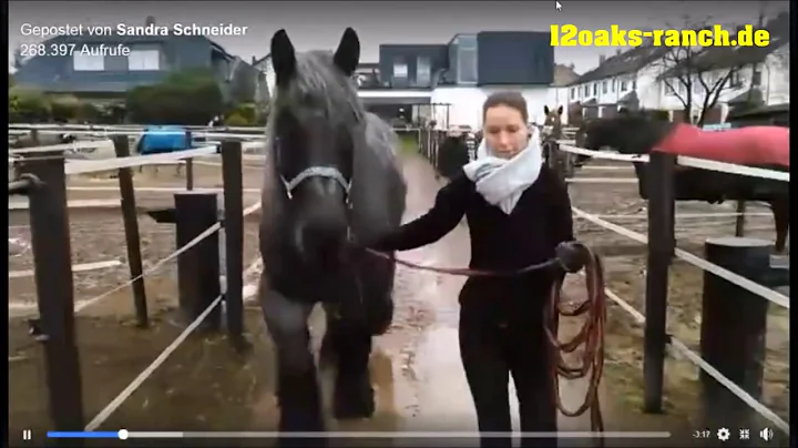 Timing Fail: Sandra Schneider blamiert sich mit Ka...
