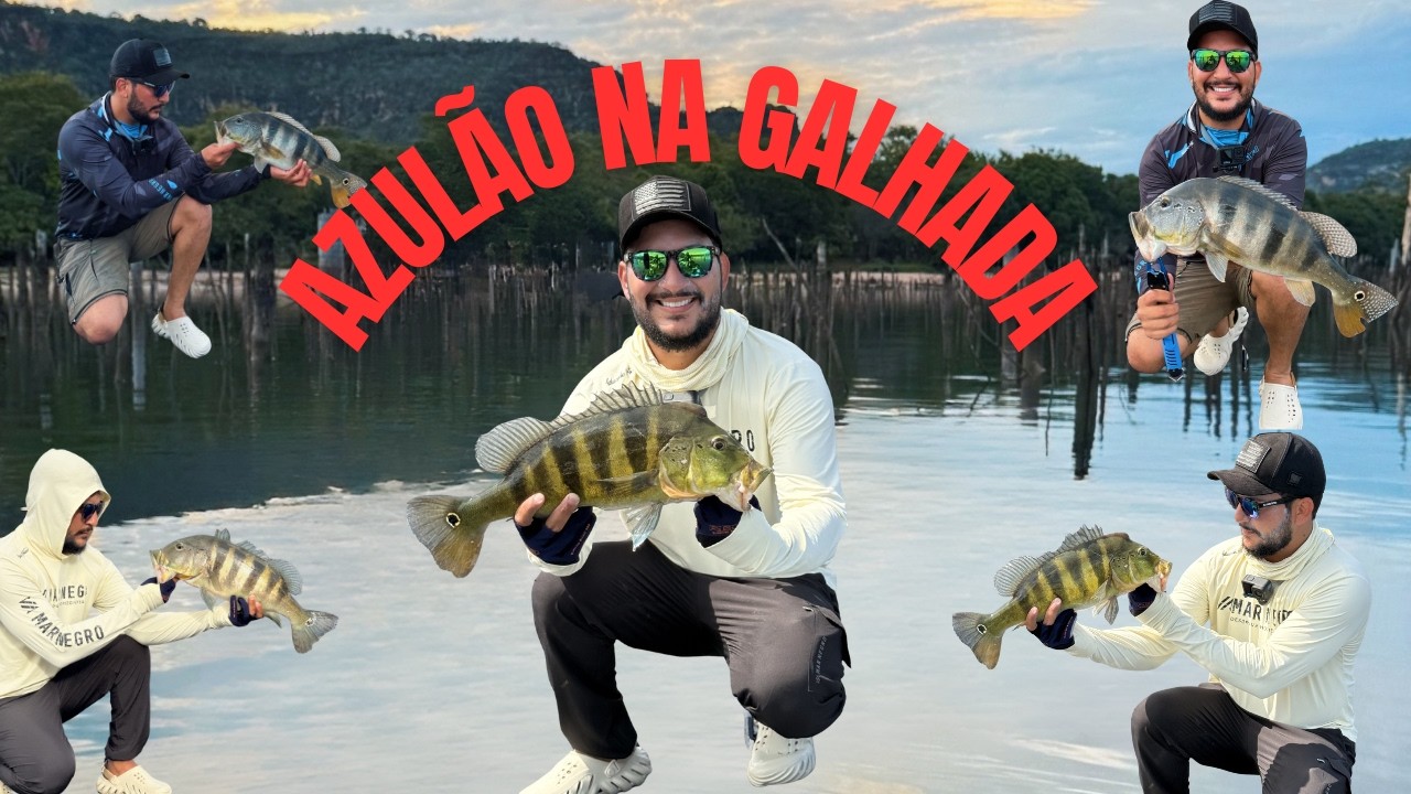 DESAFIO EXTREMO! Azulão nas estruturas – Pescaria raiz!