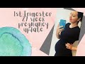 First Trimester and 27 Week Pregnancy Update