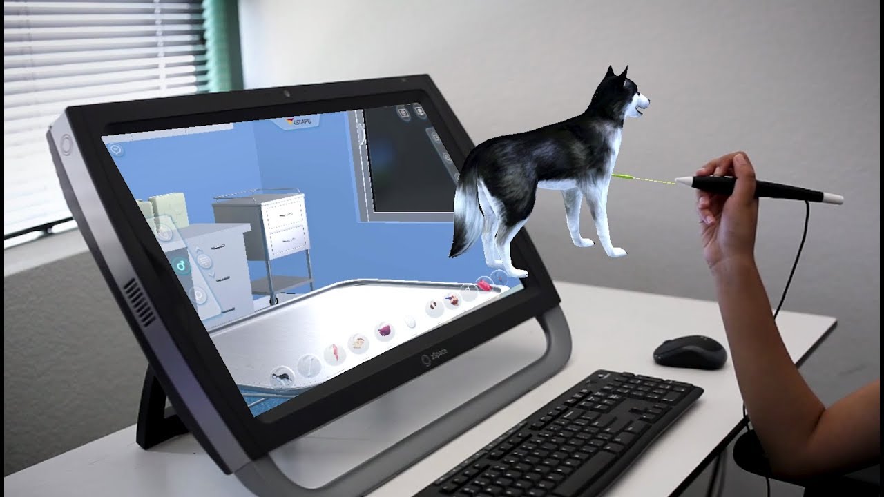 Introducing Virtual Veterinary Trainer - YouTube