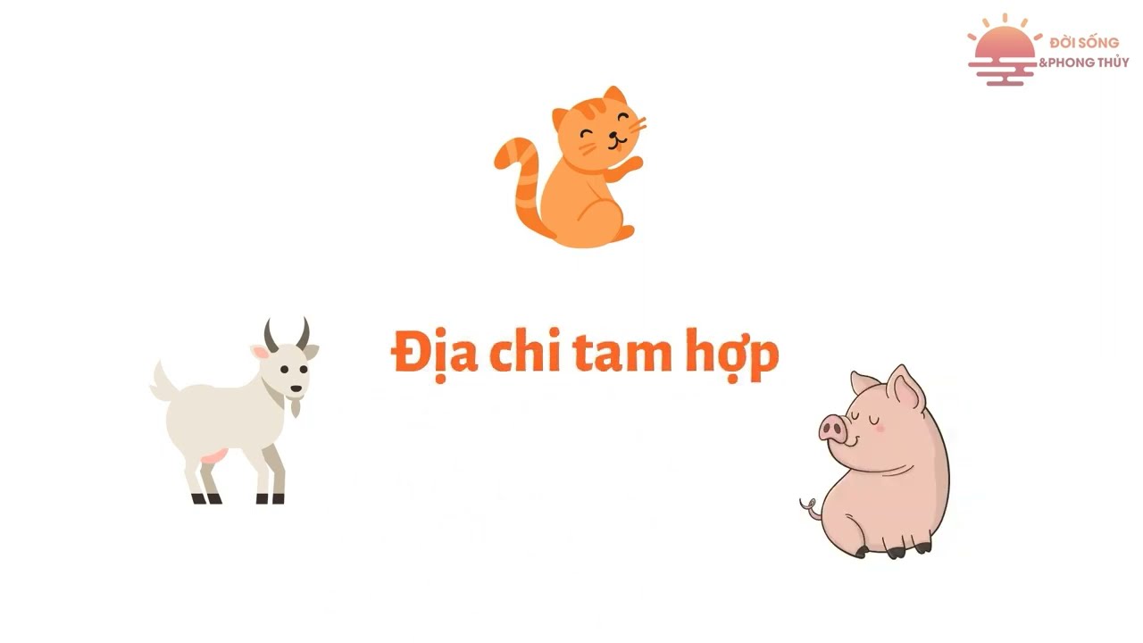 1999 Mệnh Gì Sự Bí Ẩn Về Năm Sinh Của Bạn