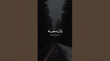وإن ليس للإنسن إلا ما سعى 🤍 ｜ القارئ أنس حست البرقي ｜ قرآن كريم