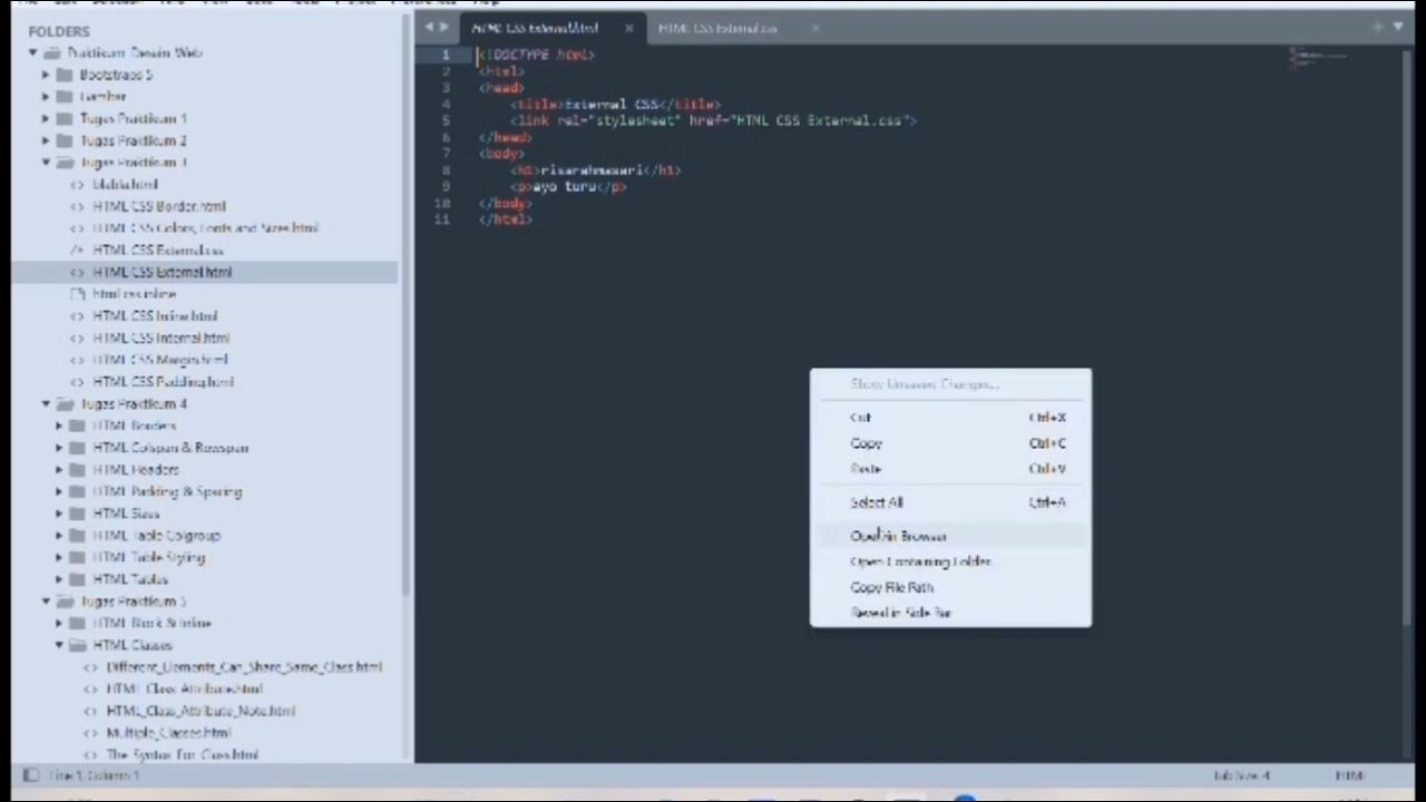 Css Inline External Internal